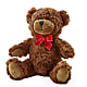 Adorable Plush Bear – MARTHA'S FLOWER & GIFT SHOP, Bushnell FL