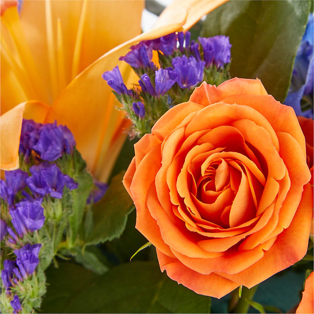 Radiant Citrus Box Bouquet – MARTHA'S FLOWER & GIFT SHOP, Bushnell FL