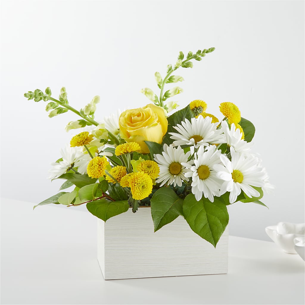 Sun Salutation Box Bouquet – MARTHA'S FLOWER & GIFT SHOP, Bushnell FL