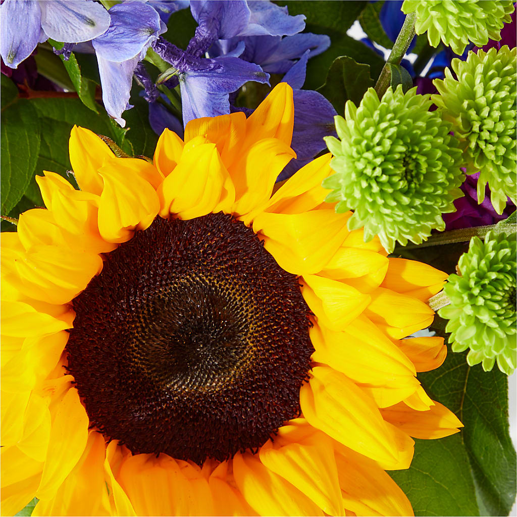 Catching Rays Bouquet – MARTHA'S FLOWER & GIFT SHOP, Bushnell FL