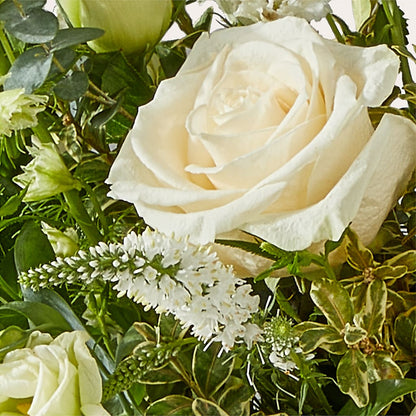 Cashmere Bouquet – MARTHA'S FLOWER & GIFT SHOP, Bushnell FL