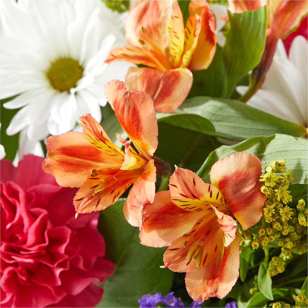 Oopsie Daisy Box Bouquet – MARTHA'S FLOWER & GIFT SHOP, Bushnell FL
