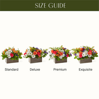 Oopsie Daisy Box Bouquet – MARTHA'S FLOWER & GIFT SHOP, Bushnell FL