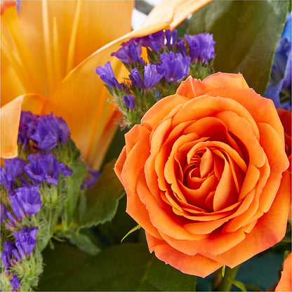 Radiant Citrus Box Bouquet – MARTHA'S FLOWER & GIFT SHOP, Bushnell FL