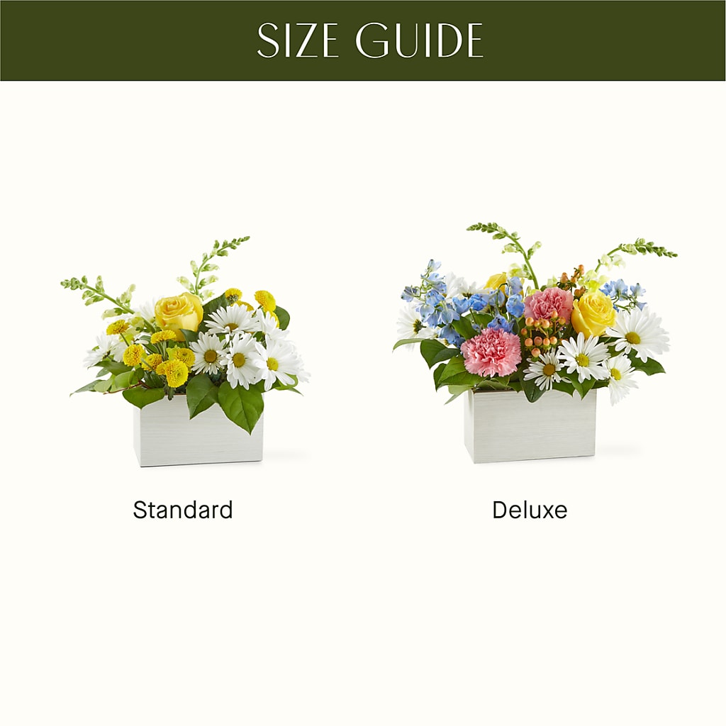 Sun Salutation Box Bouquet – MARTHA'S FLOWER & GIFT SHOP, Bushnell FL