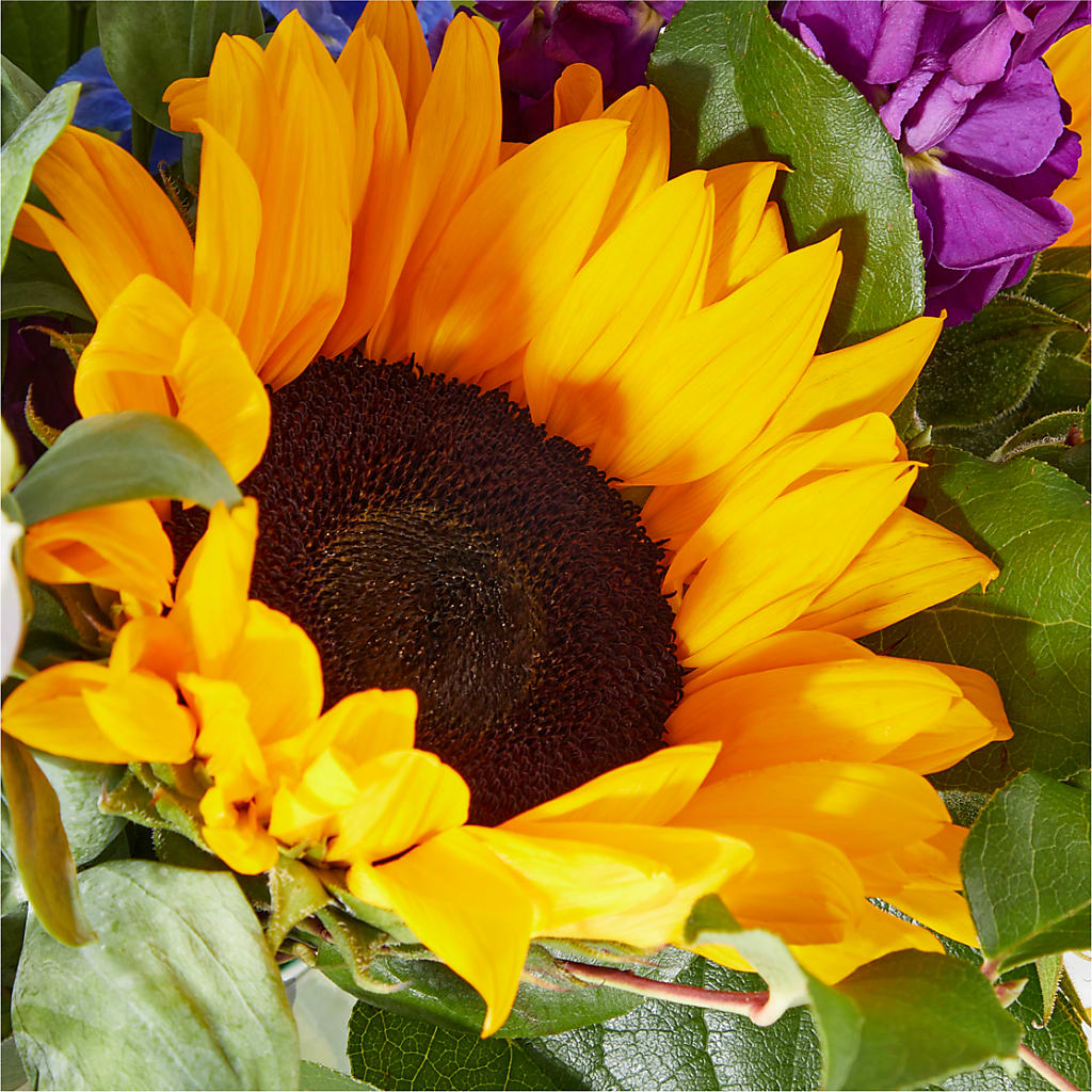 Catching Rays Bouquet – MARTHA'S FLOWER & GIFT SHOP, Bushnell FL