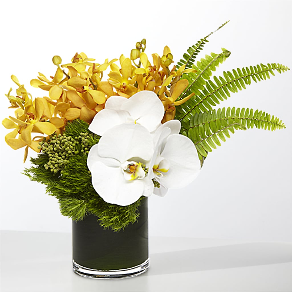The Tropics – MARTHA'S FLOWER & GIFT SHOP, Bushnell FL