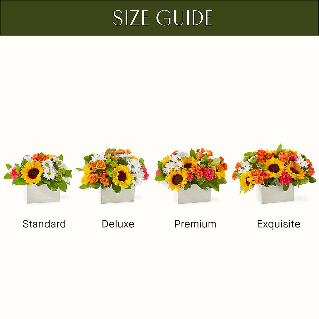 Sun-drenched Blooms Box Bouquet – MARTHA'S FLOWER & GIFT SHOP, Bushnell FL