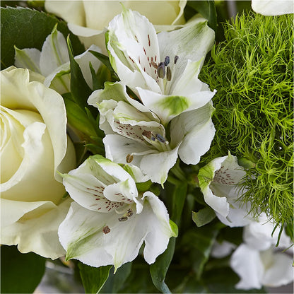 Classic Ivory – A Florist Original – MARTHA'S FLOWER & GIFT SHOP, Bushnell FL