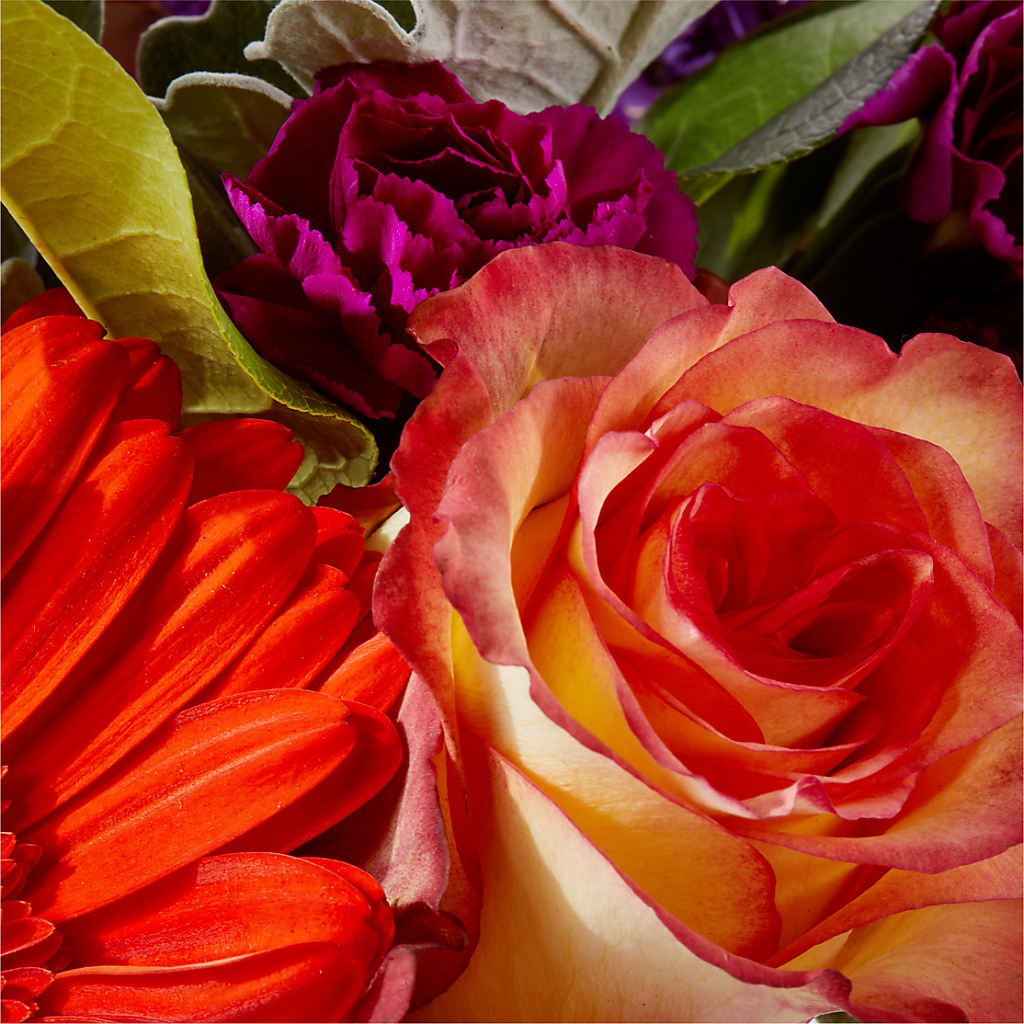 Sangria Bouquet – MARTHA'S FLOWER & GIFT SHOP, Bushnell FL
