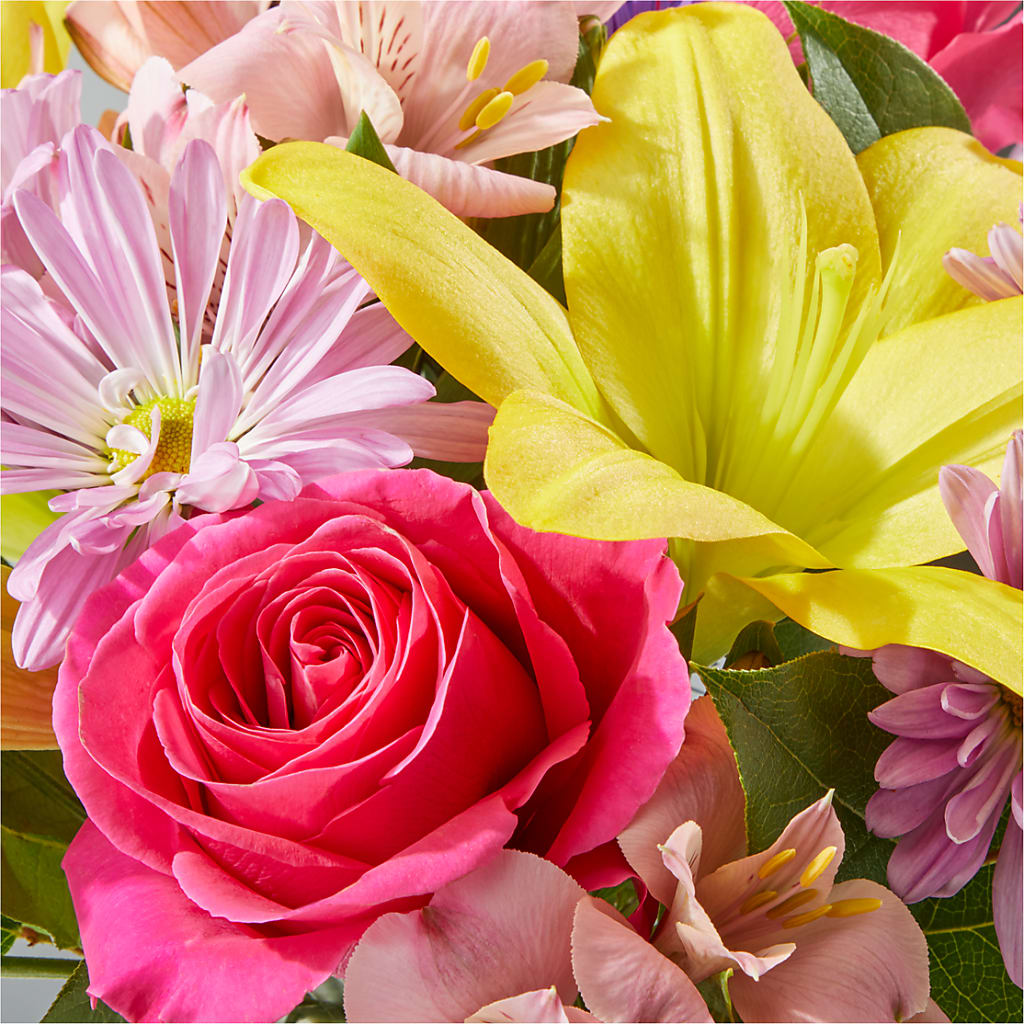 Sprinkles Bouquet – MARTHA'S FLOWER & GIFT SHOP, Bushnell FL