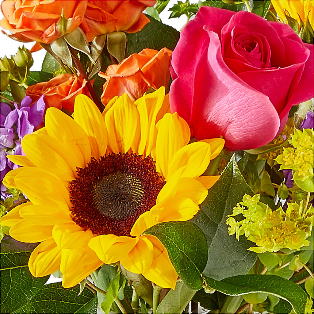 Vibrant Greetings Bouquet – MARTHA'S FLOWER & GIFT SHOP, Bushnell FL