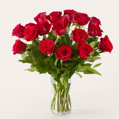 The One Red Rose Bouquet – MARTHA'S FLOWER & GIFT SHOP, Bushnell FL