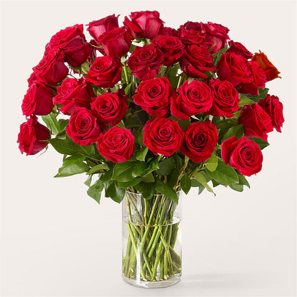 The One Red Rose Bouquet – MARTHA'S FLOWER & GIFT SHOP, Bushnell FL