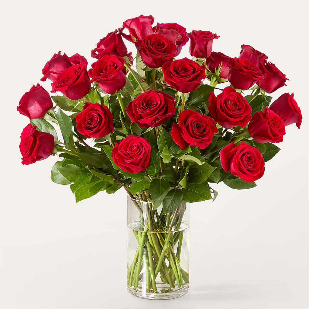 The One Red Rose Bouquet – MARTHA'S FLOWER & GIFT SHOP, Bushnell FL
